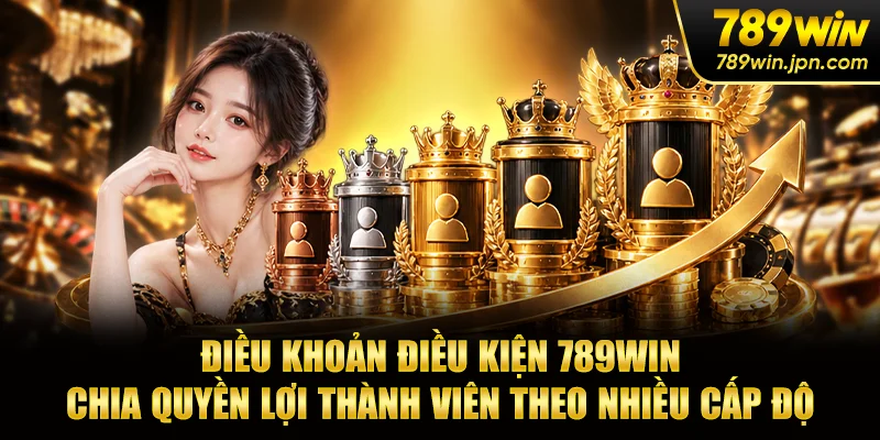 Điều khoản điều kiện 789WIN chia quyền lợi thành viên theo nhiều cấp độ